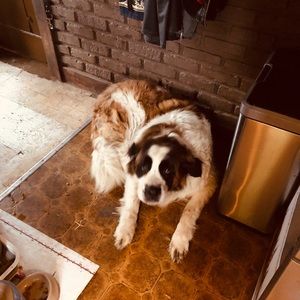 Meet your Posher, Armando